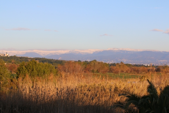 Recreación ZAL y espacios naturales